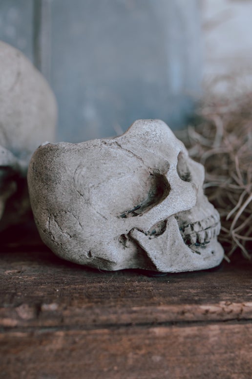 Concrete Skull Planter