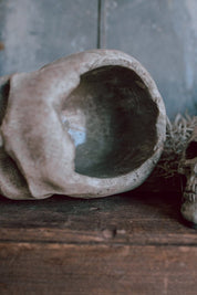 Concrete Skull Planter